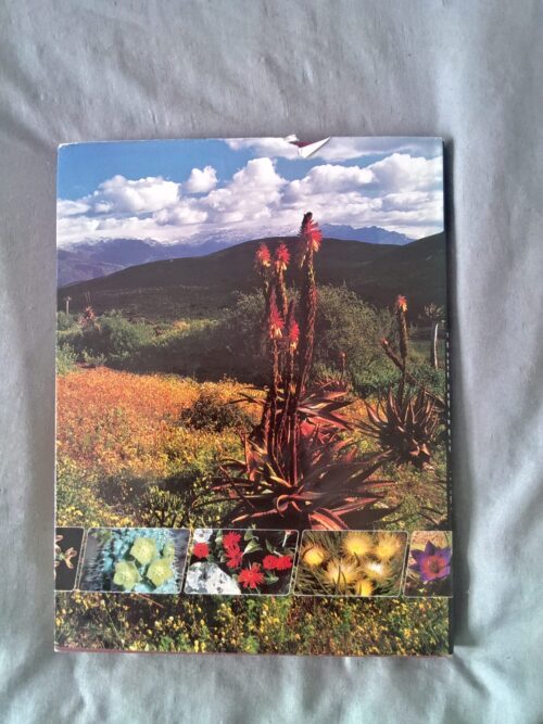 Wild Flowers Of South Africa secondhand book