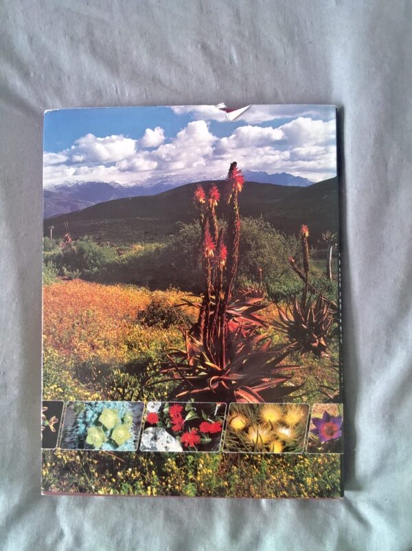 IMG_20260716_130559 Wild Flowers Of South Africa secondhand book