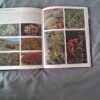 IMG_20260716_130657 Wild Flowers Of South Africa secondhand book