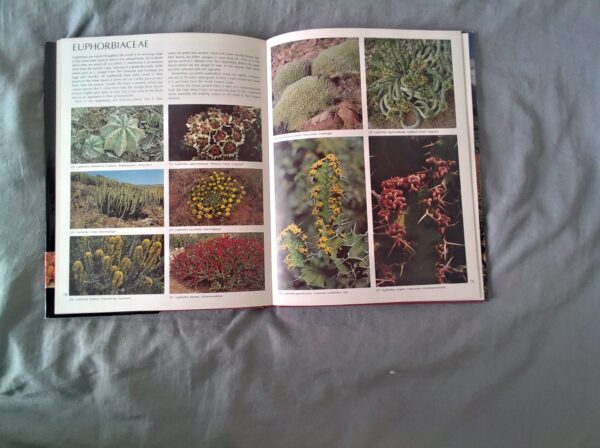 IMG_20260716_130657 Wild Flowers Of South Africa secondhand book