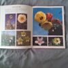 IMG_20260716_130713 Wild Flowers Of South Africa secondhand book