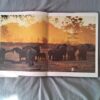 IMG_20260716_131943 Die Natuurerfenis Van Suider-Afrika – David Bristow, Gerald Cubitt secondhand book