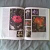 Die Natuurwonder Van Suider- Afrika – Alf Wannenburgh secondhand book