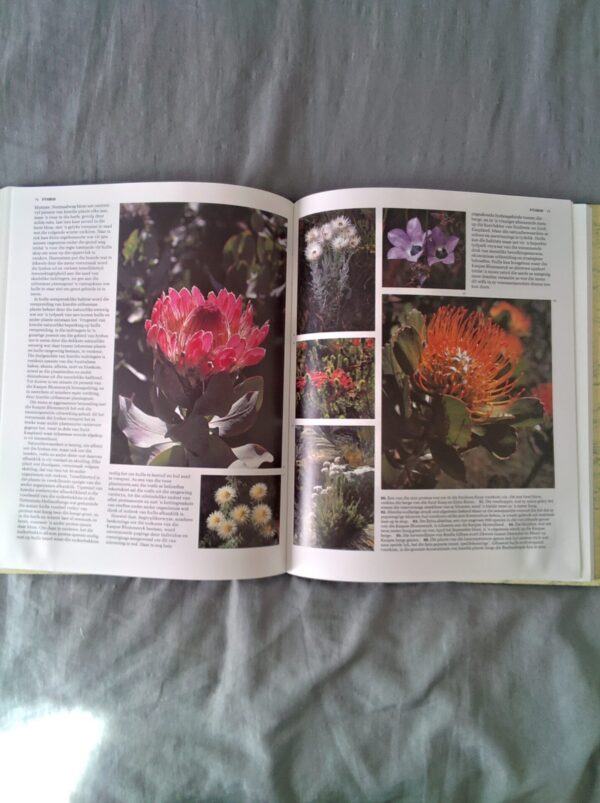 Die Natuurwonder Van Suider- Afrika – Alf Wannenburgh secondhand book