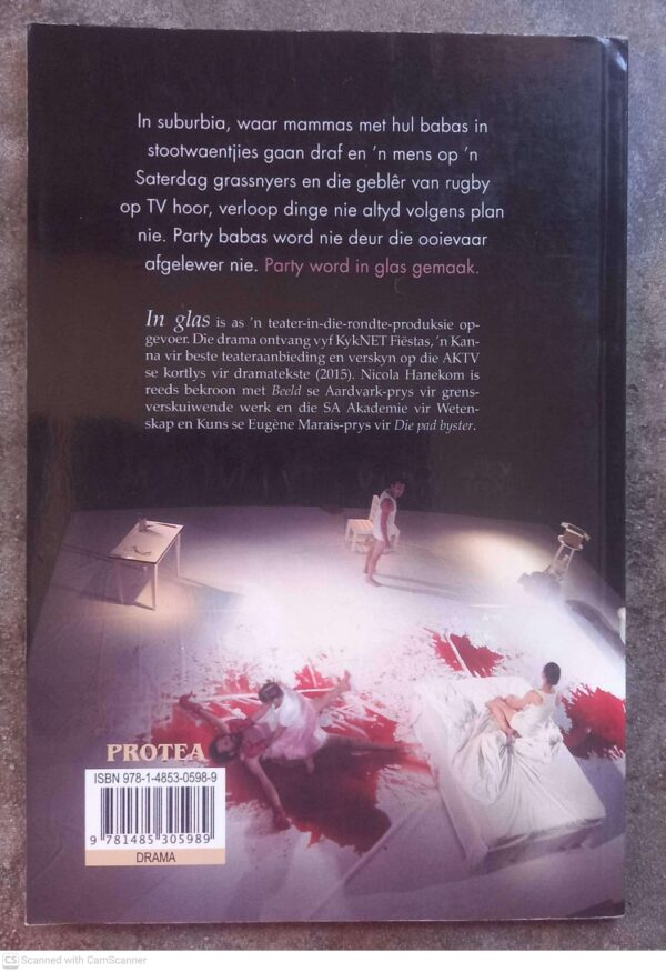 In Glas — Nicola Hanekom secondhand book