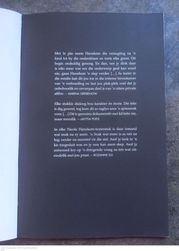 In Glas — Nicola Hanekom secondhand book