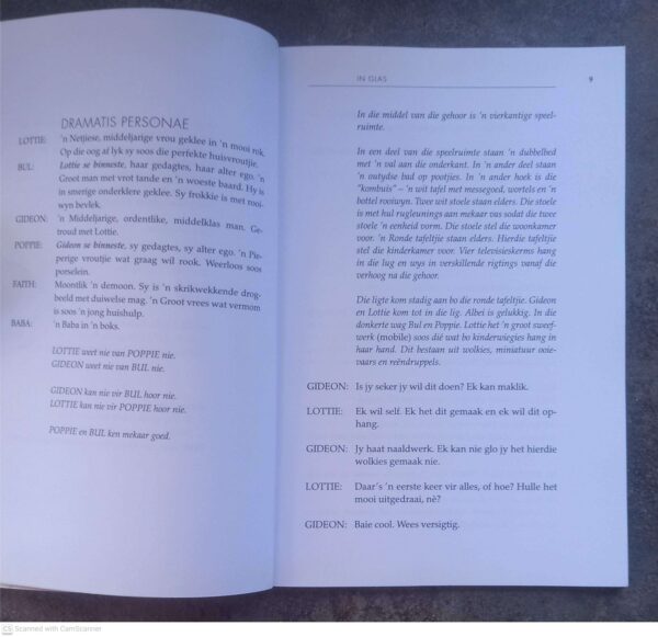 In Glas — Nicola Hanekom secondhand book