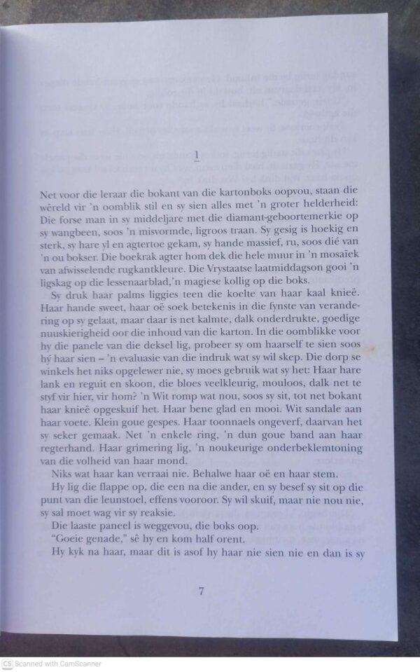 Infanta – Deon Meyer secondhand book