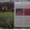 Jaarplante vir die Suid-Afrikaanse Tuin5 Jaarplante Vir Die Suid-Afrikaanse Tuin — Murray Simpson secondhand book