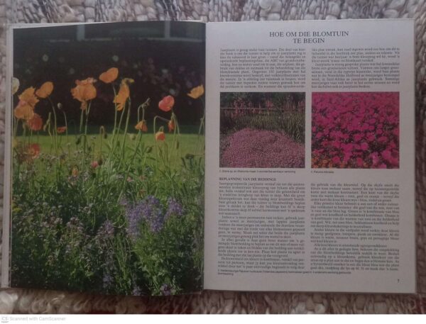 Jaarplante vir die Suid-Afrikaanse Tuin5 Jaarplante Vir Die Suid-Afrikaanse Tuin — Murray Simpson secondhand book