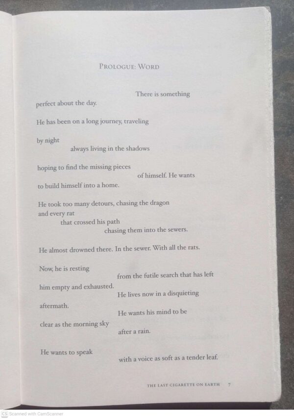 The Last Cigarette On Earth – Benjamin Alire Sáenz secondhand book
