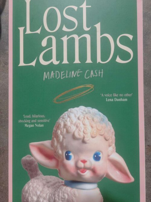 Lost Lambs — Madeline Cash secondhand book