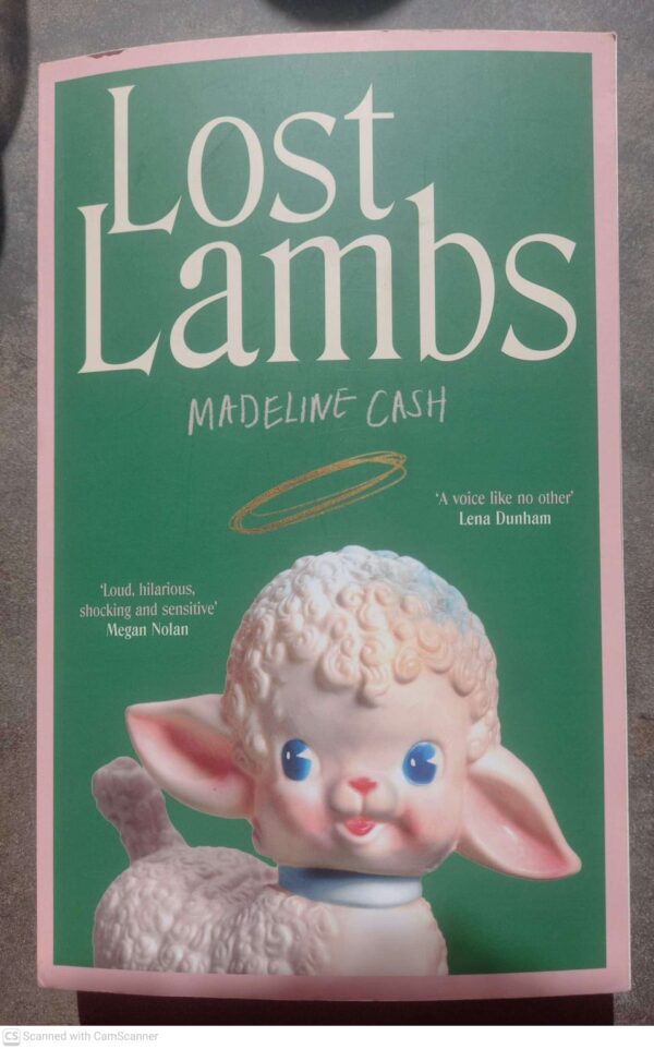 Lost Lambs — Madeline Cash secondhand book