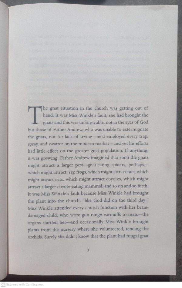 Lost Lambs — Madeline Cash secondhand book