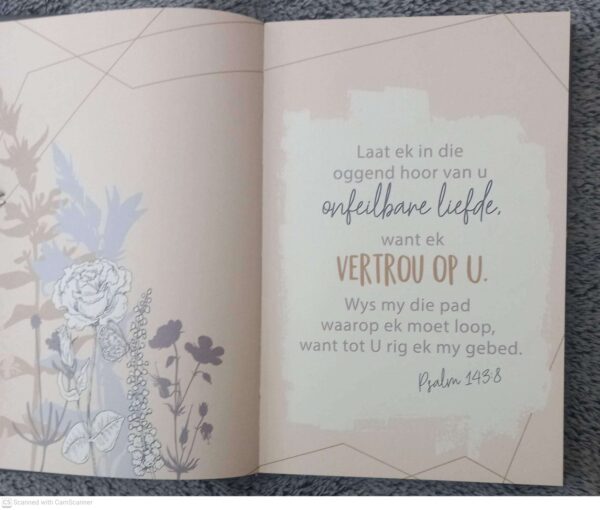 Lysies Vir Die Lewe Vir Vroue secondhand book
