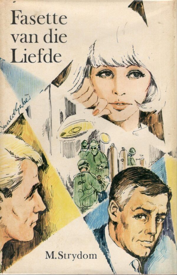 Fasette Van Die Liefde – M Strydom secondhand book
