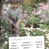 Wenke Vir Die Klein Tuin – Nancy Gardiner secondhand book