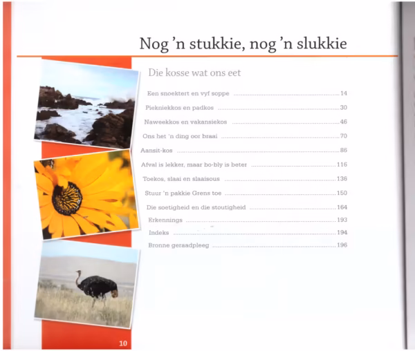 Nog ‘n Stukkie – Dine Van Zyl secondhand book