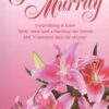 Omnibus 5 – Ena Murray secondhand book