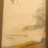 Ongenooide Gaste Op Keurboslaan — Theunis Krogh secondhand book