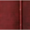 Ons Diaspora — Robert Van Tonder secondhand book