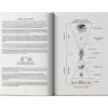 Book Of Wisdom: Vol I & Vol II – Harry B Joseph secondhand book
