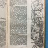 Sjangani - Page Sjangani – Oswald Pirow secondhand book