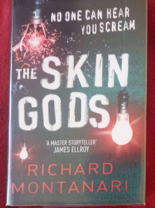 Skin Gods1 The Skin Gods — Richard Montanari secondhand book
