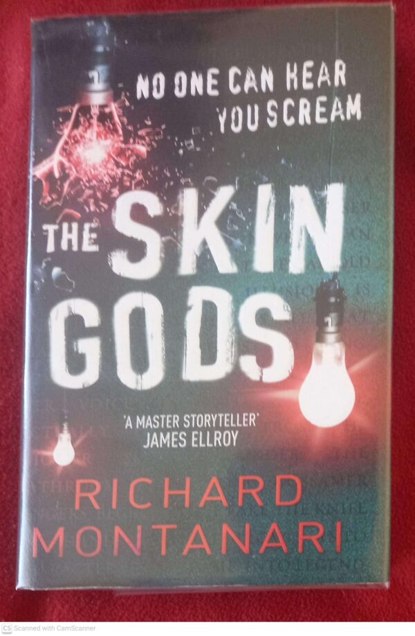The Skin Gods — Richard Montanari secondhand book