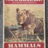 Soogdiere Van Die Krugerwildtuin1 Soogdiere Van Die Krugerwildtuin en Ander Nasionale Parke — R. J. Labuschagne, N. J. van der Merwe secondhand book