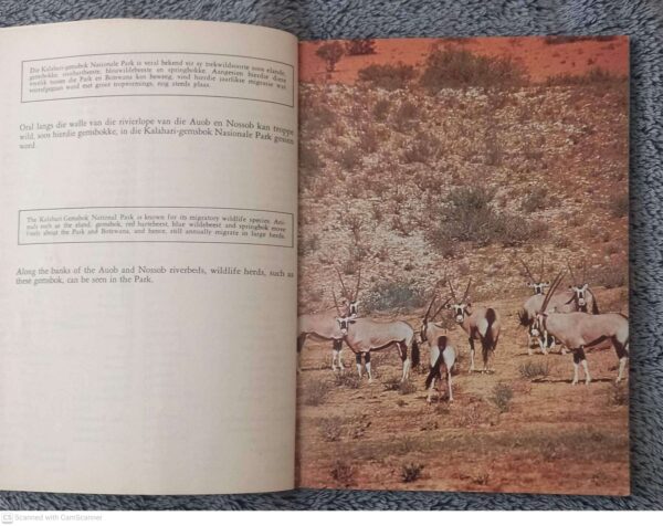 Soogdiere Van Die Krugerwildtuin6 Soogdiere Van Die Krugerwildtuin en Ander Nasionale Parke — R. J. Labuschagne, N. J. van der Merwe secondhand book