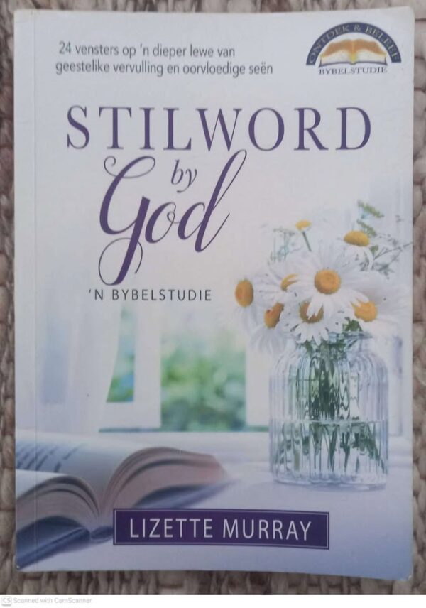 Stilword By God — Lizette Murray secondhand book
