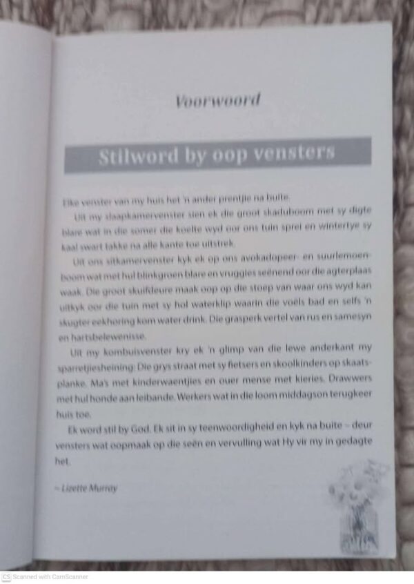 Stilword By God — Lizette Murray secondhand book