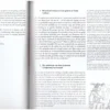 Tot Lof Van Dwaasheid – Desiderius Erasmus secondhand book