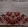 Vegetariese Geure — Sarina Jacobson secondhand book