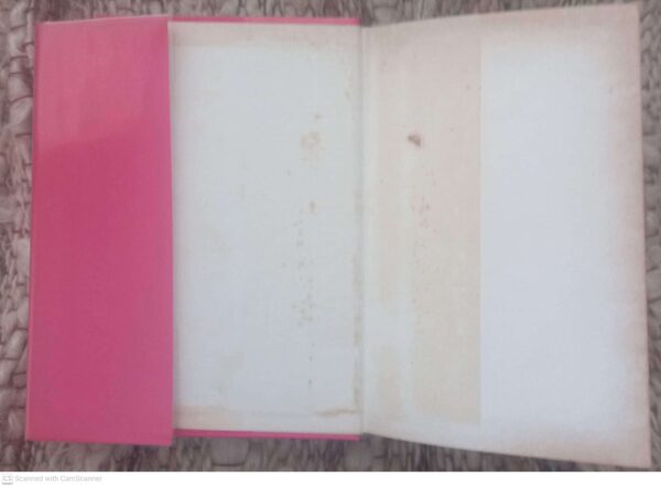Vertellers 2: Die Groot Afrikaanse Verhaalboek — Merwe Scholtz secondhand book