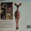 back-cover-the-best-of-wildlife-photography-in-southern-africa The Best Of Wildlife Photography In Southern Africa – Peter Joyce secondhand book