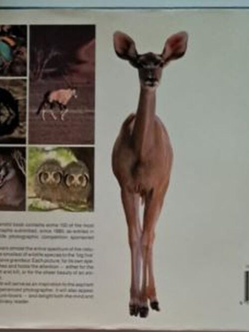 The Best Of Wildlife Photography In Southern Africa – Peter Joyce secondhand book