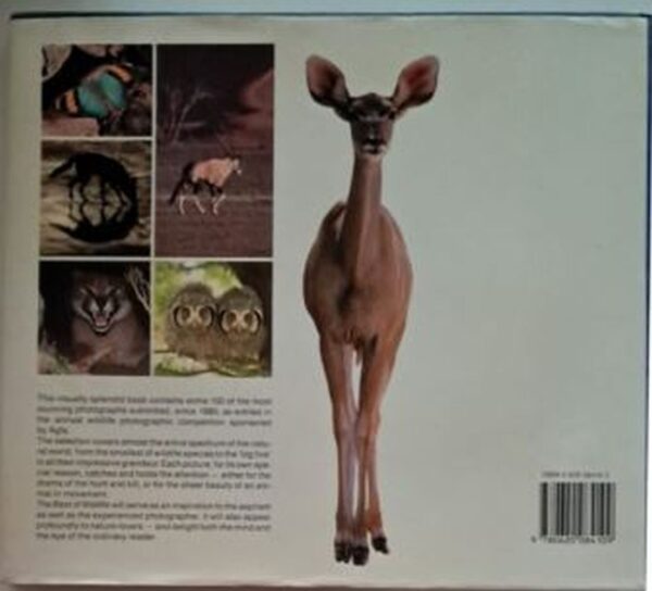 back-cover-the-best-of-wildlife-photography-in-southern-africa The Best Of Wildlife Photography In Southern Africa – Peter Joyce secondhand book