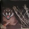inside-page-the-best-of-wildlife-photography The Best Of Wildlife Photography In Southern Africa – Peter Joyce secondhand book