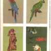 Favorite Pets In Charted Designs – Barbara Johansson secondhand book