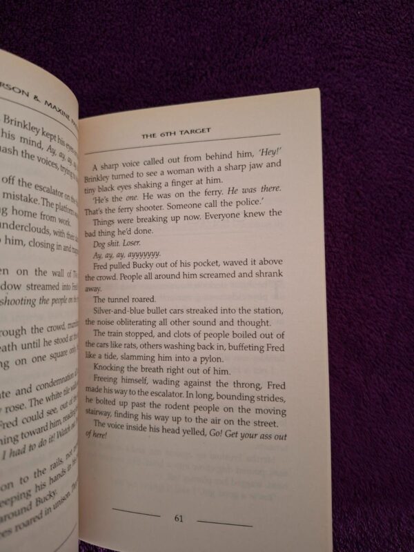 The 6th Target – James Patterson, Maxine Paetro secondhand book