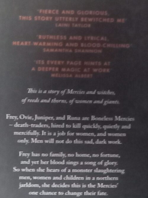 The Boneless Mercies – April Genevieve Tucholke secondhand book