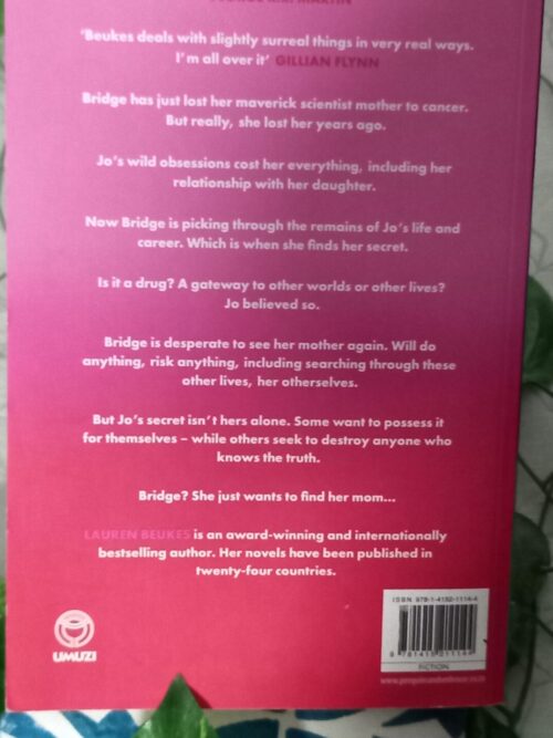 Bridge – Lauren Beukes secondhand book