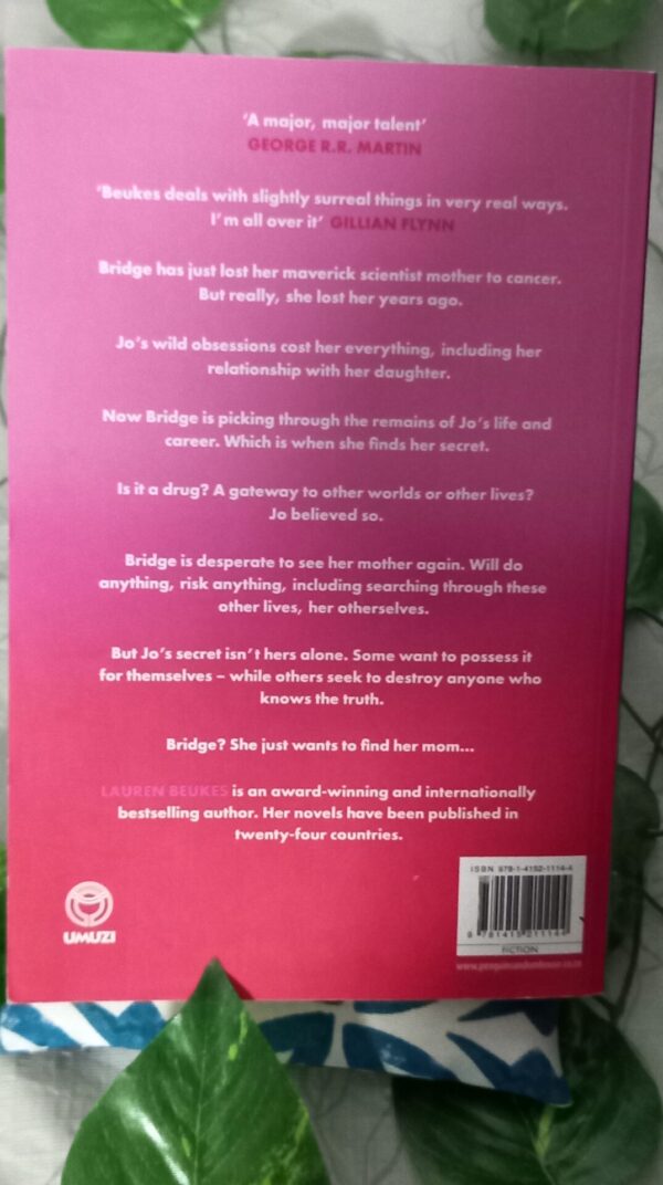 Bridge – Lauren Beukes secondhand book