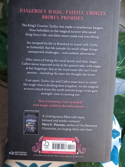 Carving Shadows Into Gold – Brigid Kemmerer secondhand book