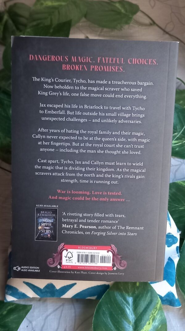 Carving Shadows Into Gold – Brigid Kemmerer secondhand book