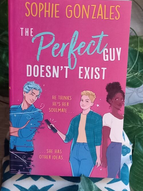 The Perfect Guy Doesn’t Exist – Sophie Gonzales secondhand book