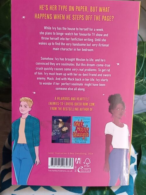 The Perfect Guy Doesn’t Exist – Sophie Gonzales secondhand book
