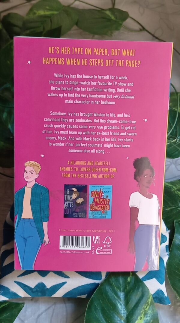 The Perfect Guy Doesn’t Exist – Sophie Gonzales secondhand book